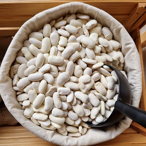 ΧΥΜΑ Φασόλια Γίγαντες- Ελέφαντες Πρεσπών (500 γρ.)